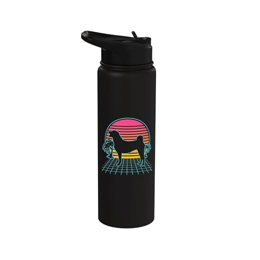 Appenzeller Sennenhund Dog Vintage 80s Vaporwave Aesthetic Stainless Steel Insulated Water Bottle