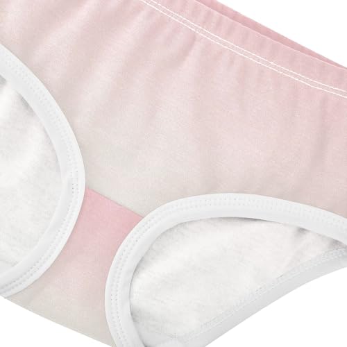 Joisal Cartoon Toddler Underwear Floral 2t Cotton Cute Panties Girl Blush Pink Gradient Briefs Girls Undies4