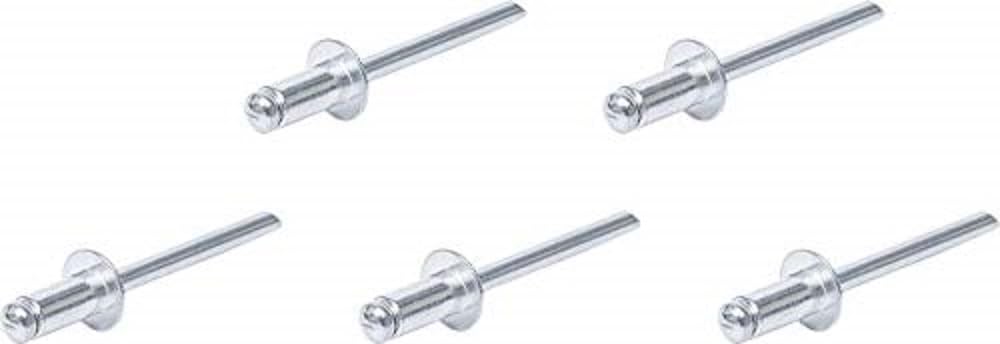 BGS Diy 75849 | Blindnieten-Sortiment | Ø 4,8 mm | 50-tlg.