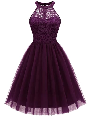 Dressystar Women's Short Halter Cocktail Party Dress Lace Tulle Homecoming