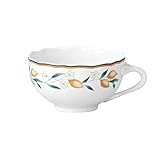 Hutschenreuther Maria Theresia Tee-Obertasse Medley Alfabia