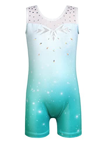 HOZIY HOZIY Leotards for Girls Gymnastics Kids Children Biketard Snowflake Ribbon Blue Purple Hot Pink Sparkle