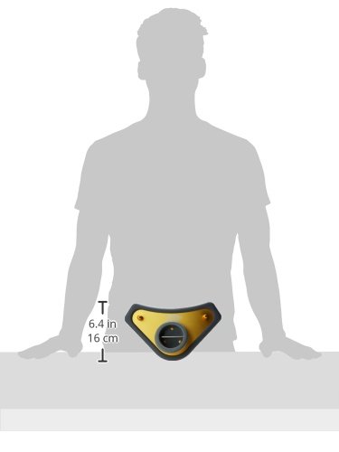 Aftco Belt3Gld Alijos Fishing Fighting Belt (20-50Lb Rod Class) #TOP2