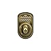 Schlage BE365 V PLY 609 Plymouth Keypad Deadbolt, Electronic Keyless Entry Lock, Antique Brass