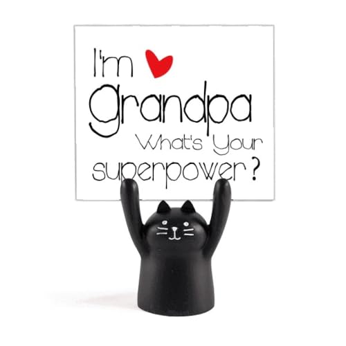 ́AȂ̒卑ł J[gD[LX^h^z_[