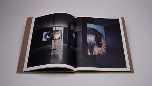 João Onofre: Untitled (in Awe Of)