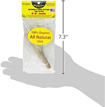 Jumbo Shed Elk Antler 5-6 Inches