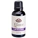 Lavender French (40/42) Pure Essential Oil Therapeutic Grade- 30ml