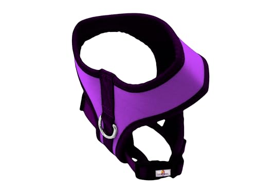 CyP Brands - Real Valladolid, Harness, Dog Collars, Pet Accessories, Purple, Official Product, berry - Image 3