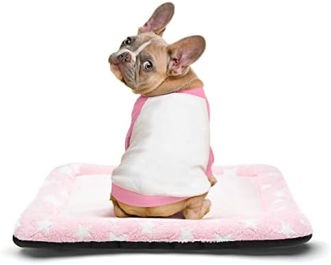 Dog Crate Mattress Small Dog Cat Bed Mat for Indoor Cats Pet Crate Bedding for 22 inch Cage UK Ultra Soft Flat Puppy Cushion Blanket Pillow Pad for Small Dogs and Cats Grey Washable Anti Slip