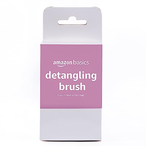 Amazon Basics Detangling Palm Hair Brush For All Hair Types Wet or Dry