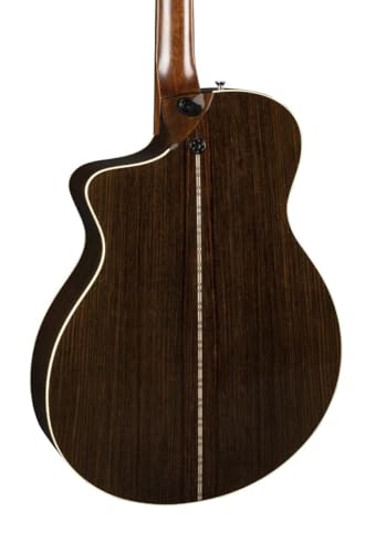 Martin Standard Series SC-28E with Case with LR Baggs Electronics 093