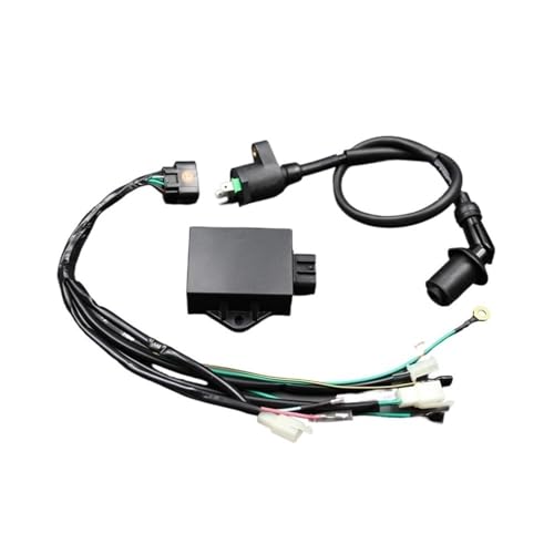 Pièces électriques de précision avec CDI 8 broches pour Pit Bike