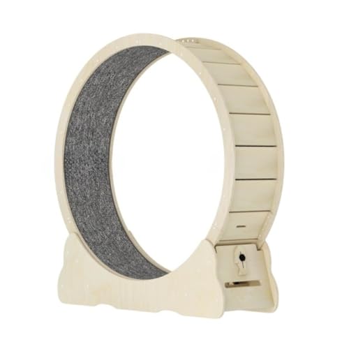 Ambety �É��œK���o�[�W���� 4.0 �L�����i�[ ���ؑ��w�L�����j���O�}�V�� �N�[���J���t���L�^�����[���[ �L�^���[��֔L�������� (�C�G���[,M)