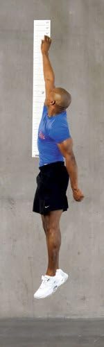 Power Systems Wall-Mounted Vertical Jump Tester, 50 x 6 Inches, Black/White (22505)