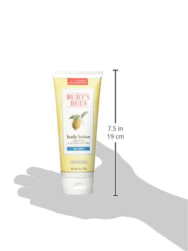 Burts Bees Butter Body Lotion for Dry Skin with Cocoa & Cupuau, 6 Oz (Package May Vary)