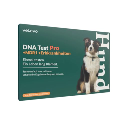 vetevo Hund DNA Test Rassenbestimmung & Erbkrankheiten, Hunde Gentest auf 400+ Hunderassen & 175+ Erbkrankheiten, Einfache Anwendung, Gratis Laborversand