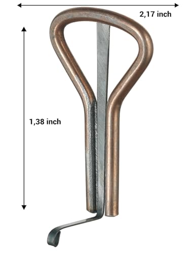 Shamanicshop 543 The Jewish Harp Shamanicshop The Hummingbird (Carrying Case)Is A Harp thumb #1