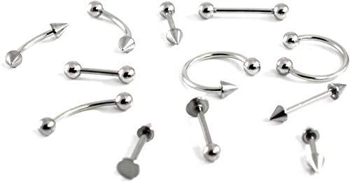 Hunky Dory 12pcs Unisex Silver Curved Barbell Eyebrow, Earring, Lip, Ring, Nose Pins, Body Piercing Kit(Medium) Body Jewellery for Men | Women Set of 12pcs (B08K545SBK) Amazon Price History, Amazon Price Tracker