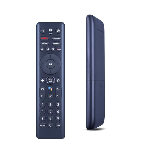 RYQIF Version vocale Télécommande de rechange pour SFR Connect TV 2/TV 3