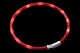 Karlie Visio Light LED Schlauchhalsband L: 20 - 70 cm orange