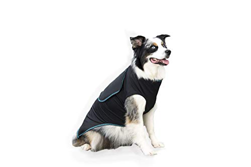 Benefab Therapeutic Anxiety Shirt For Dogs — Lightweight Far-Infrared Jacket For Canines Of All Ages — Calming Fir Compression Shirt Soothes Muscles, Joints, And Pain (Large) #TOP3