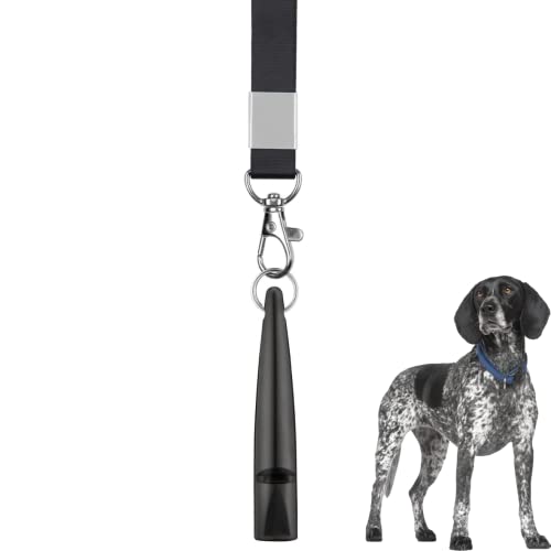 Training Your English Springer Spaniel to Stop on Command Using a Whistle Easy Spaniel Training