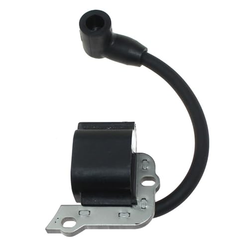Bobine d'allumage contre les pertes de puissance moteur RM2580 TB25SB 841-012984S