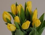 Envoltorio de regalo Ramo 20 Tulipanes Naturales Amarillos para Regalar. PORTES GRATIS