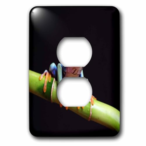 Plaque de finition pour prise de courant motif grenouille tropicale 3dRose
