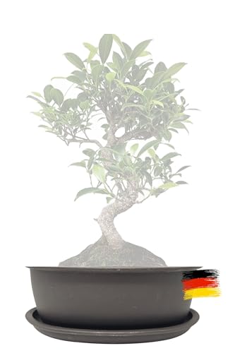 Genki-Bonsai Pflanzschale 16 x 12,5 x 6 cm aus Kunststoff – ovaler Pflanzkübel mit Untersetzer, frostbeständig, mit Drainagelöchern – für Bonsai, Kräuter, Zimmer- & Balkonpflanzen