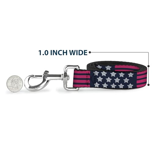 Laisse pour chien Stars & Stripes 2 Buckle Down nylon robuste - 6