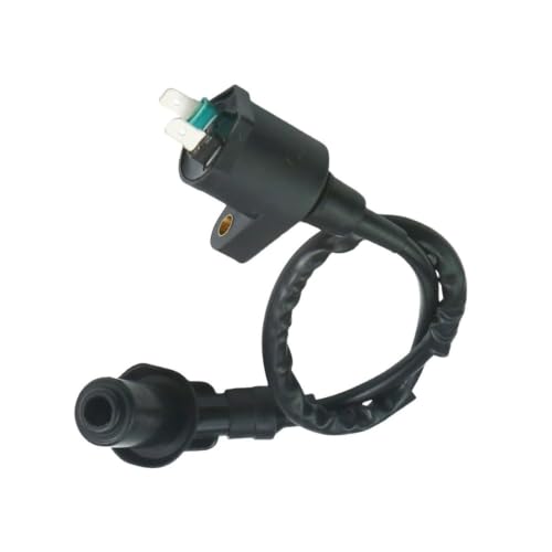 Bobine d'allumage pour trajets en scooter GY6 et escapades en dirt bike
