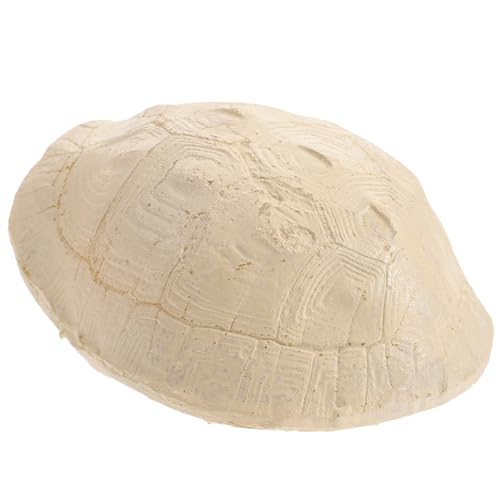 BESPORTBLE Turtle Basking Platform Hideout Durable Climbing Shelter for Aquariums Turtle Tank Decoration for Freshwater Saltwater Habitats Creative Landscape Tool