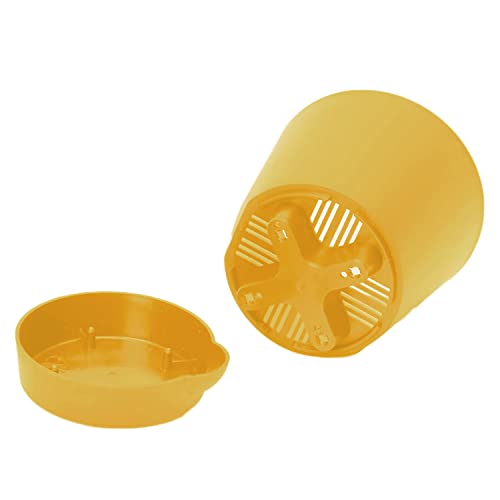 Image of Heart Home Plastic Titan Pot|Garden Container for Plants & Flowers|Self-Watering Pot with Drainage Holes,6 Inch,Pack of 2 (Yellow)
