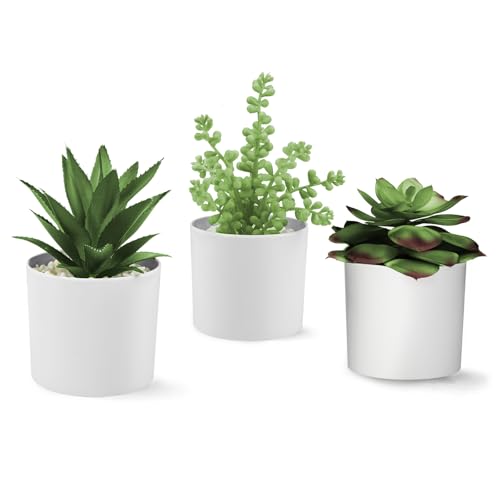 Hopewood Succulent Plants Artificial in White Pots Small Faux Potted Succulents Fake Plants in Vase Set of 3