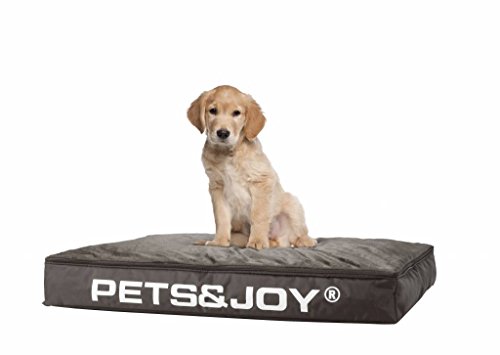 sit&joy® Sitzsack Dog Bed Medium Taupe