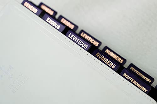 UPAFEXXI- Leather Bible tabs, Bible Tabs for Women and Men, Bible Tabs for Study Bible, 80 Bible Index Book Tabs in Total, 66 Bible Tabs for Old and New Testament, Additional 14 Blank tabs(Purple)