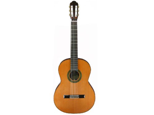 Amazon | Aria A-100C セダートップ オール単板モデル アリア 