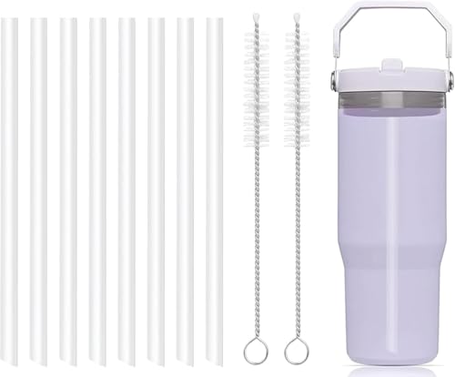 Bubrike Replacement Straws Compatible with Stanley IceFlow 30oz Stainless Steel Tumbler with Straw- Straw Replacement Fit IceFlow Flip 64oz Jugs-Accessories Set Include 8 Straws,2 Brushes
