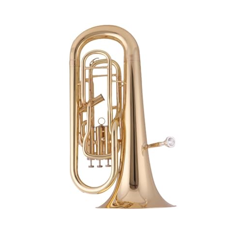 Btbgx[XzSҌvdlǊy [tHjA