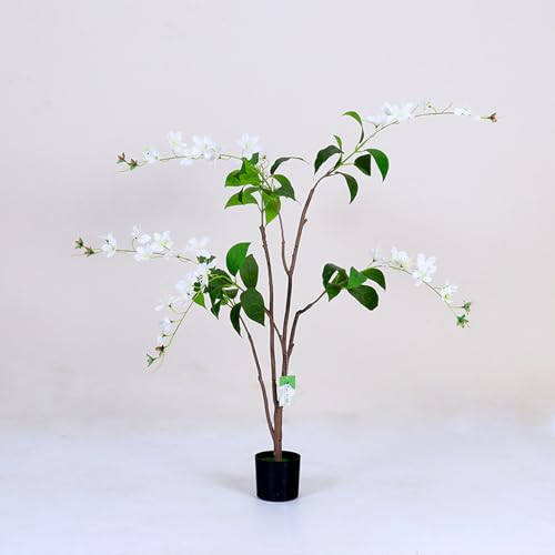 [LJKI] ^ tFCNO[  ϗtA 킢 bȂ sv  v[gp WX~ CeA Ƃ̒ɒu A Ύ zCg lHϗtA   z[  Lb` ItBX V l炵 