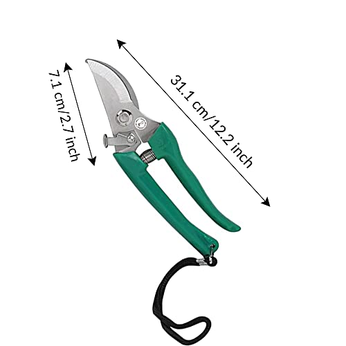 Kraft Seeds Assorted Hand Pruner Cutter - 1Pc (Steel Blades) | Heavy Duty Gardening Cutter Tool | Plant Cutter for Home Garden | Wood Branch Trimmer | Grass Cutting Accessories | Durable Stem Scissors