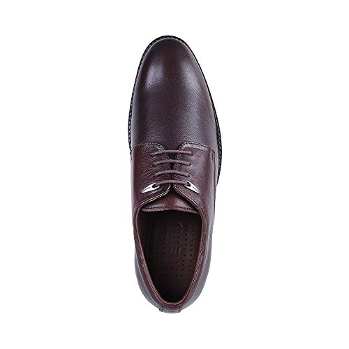 Image of Metro Men Leather Flat Shoes (19-5537)