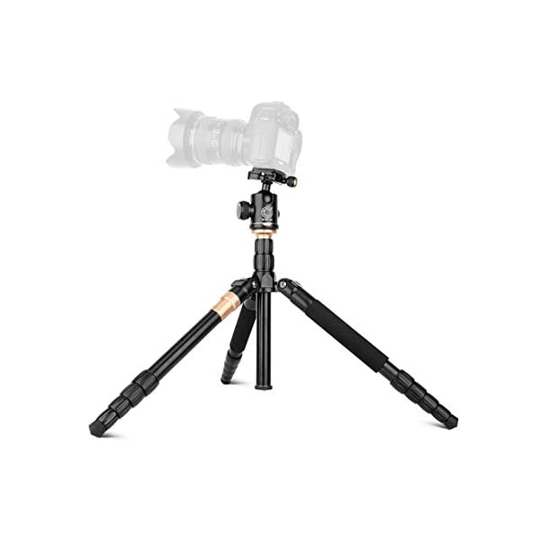 LLluckyHW Professionelle Fotostative und Einbeinstative, Universal Outdoor-Fotografie Halterungen, unterstützt mehrere…