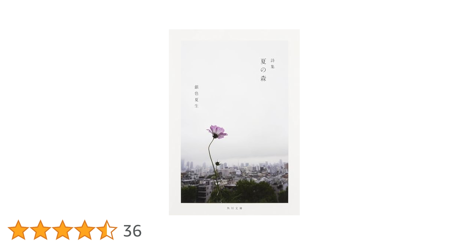 「夏の森」
オオノ ミホ / たかの けんいち 詩集 夏の森 (角川文庫) | 銀色 夏生 |本 | 通販 | Amazon