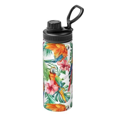 ���� �M�т̖؂̗t �I�J���C���R �� ���ʉ� �}�O�{�g�� 530ml �ۗ� �ۉ� �X�|�[�c�{�g�� �X�e�����X�{�g�� ������� ���킢�� �L�� ������ �R��h�~ �n���h���t�� �􂢂₷�� �������ȒP �g�ѕ֗� �o�R�p �I�t�B�X �X�|�[�c �j�����p