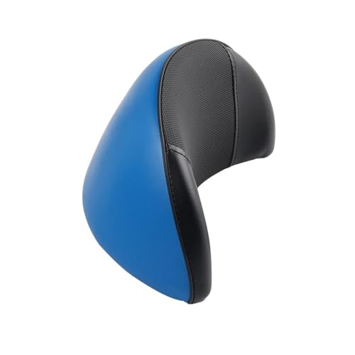 Dossier moto Forza 125 250 NSS accessoires appui-dos de passager