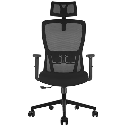 Durrafy Office Chair, Desk Chair with Adjustable Headrest, Lumbar support and Liftable Armrest, High...
