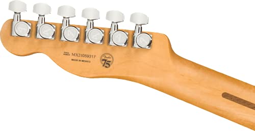 Player Plus Telecaster MN Cosmic Jade - Les Beatles, Paul McCartney, John Lennon, RIngo Starr, George Harrison Player Plus Telecaster MN Cosmic Jade – Image 7